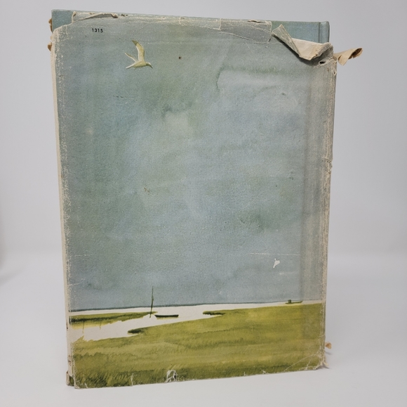 Misty of Chincoteague 1964 - Picture 8 of 8